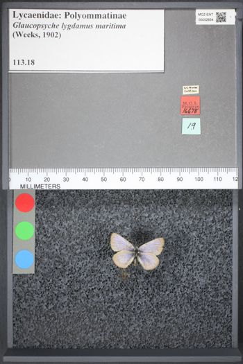 Media type: image;   Entomology 52654